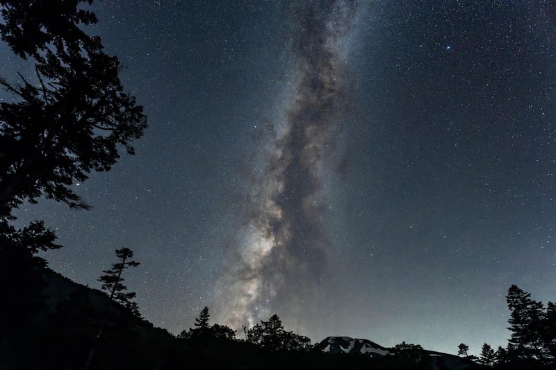 Mindful Movement in Nature